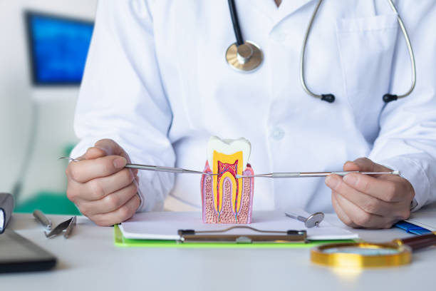 Best Weekend Emergency Dentist in Shepherd, MI